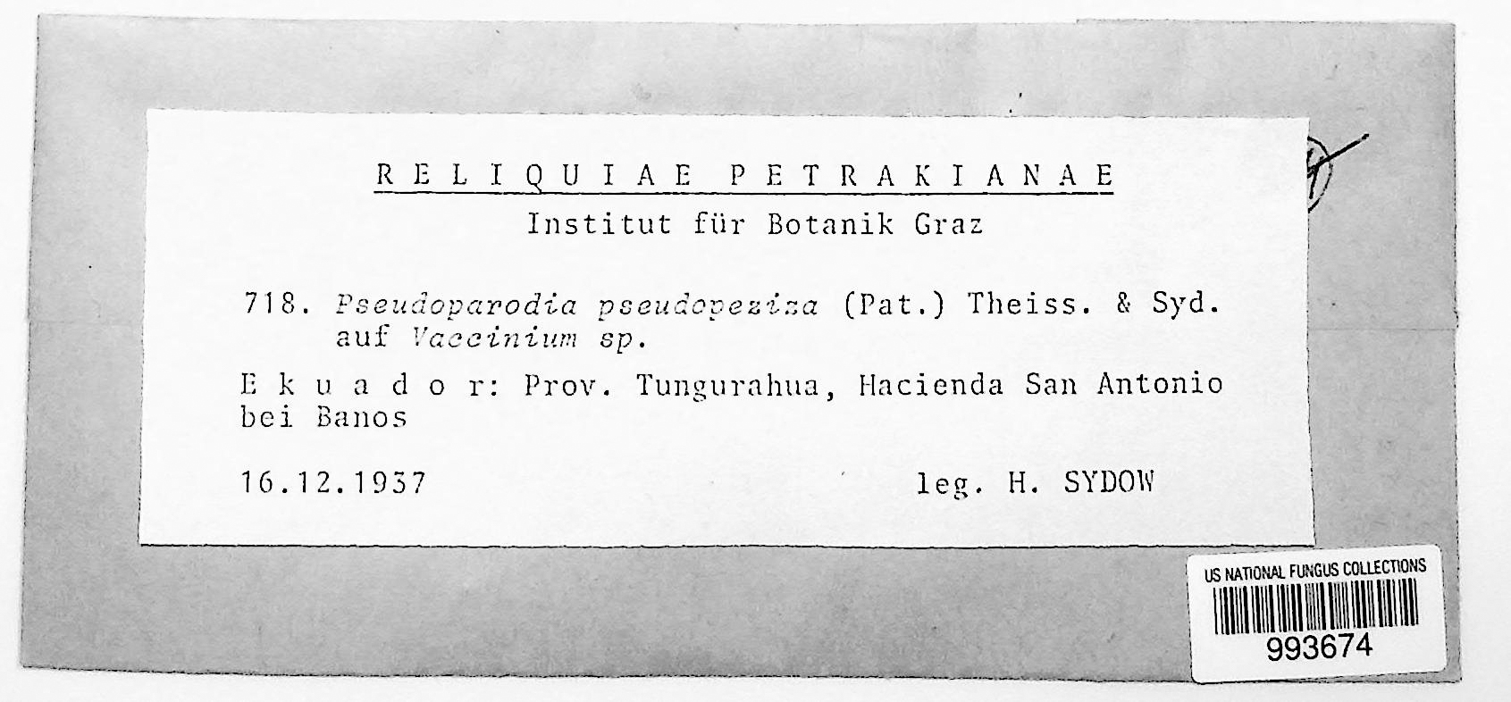 Pseudoparodia pseudopeziza thumbnail